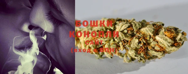 дмт Пересвет