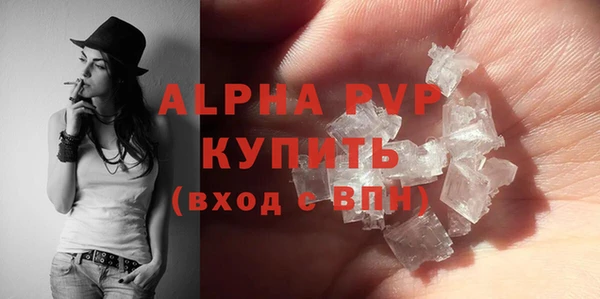 дмт Пересвет