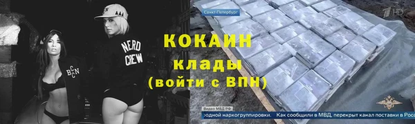 дмт Пересвет