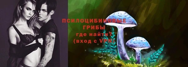 дмт Пересвет