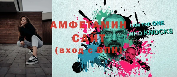 дмт Пересвет