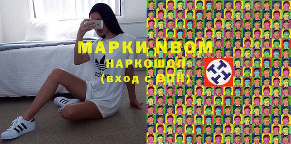 дмт Пересвет