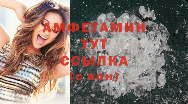 дмт Пересвет