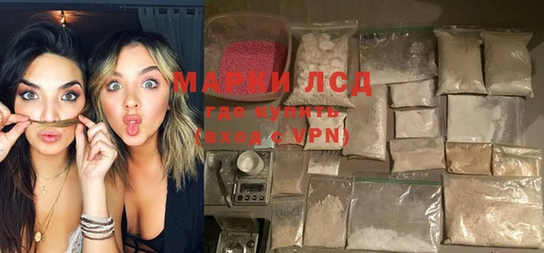 прущие грибы Щёлкино