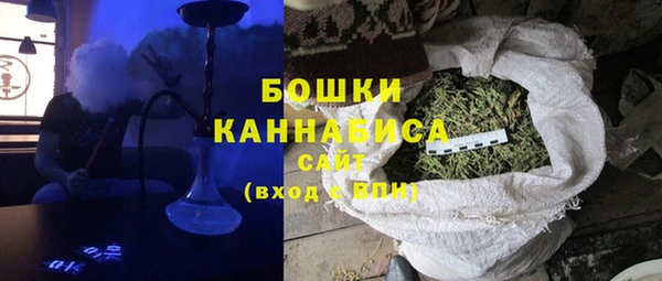 дмт Пересвет